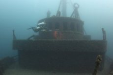 Diver Exploring the Bow of the Daniel J. Morell in Lake Huron